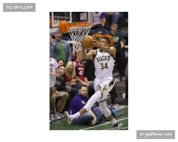 字母哥肌肉冲击型打法 持续统治雄鹿进攻体系 字母哥肌肉冲击型打法 持续统治雄鹿进攻体系