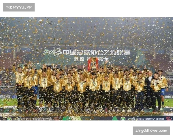 铜梁龙让二追三展现韧性 升班马成为联赛最大黑马 铜梁龙让二追三展现韧性 升班马成为联赛最大黑马